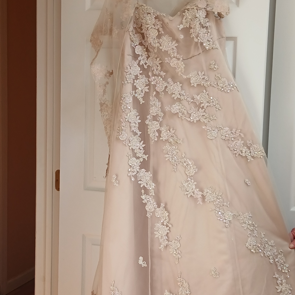 Ivory Lace Appliqué A-Line Gown